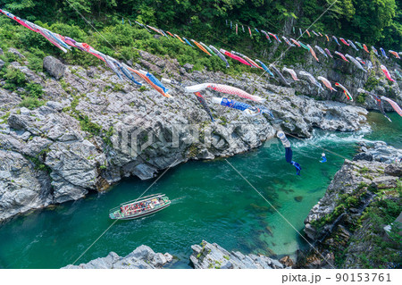 徳島県三好市の大歩危峡 90153761