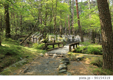 えびの高原 【宮崎県えびの市】 えびの高原 【宮崎県えびの市】 90154319