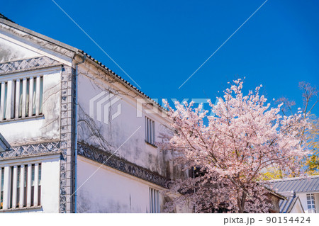 (岡山県)倉敷美観地区 レトロな建物 桜 (岡山県)倉敷美観地区 レトロな建物 桜 90154424