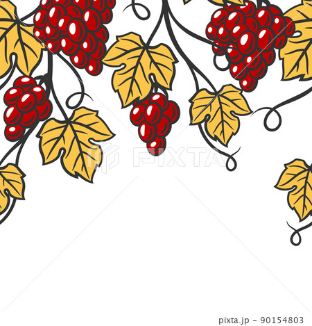 Seamless pattern of vine with leaves and bunches of grapes. Winery image for restaurants and bars. 90154803