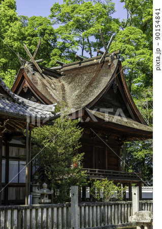素盞嗚神社　本殿　広島県福山市 90154841