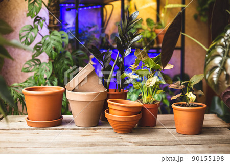 Ceramic terra cotta plant pots on the wooden table Ceramic terra cotta plant pots on the wooden table 90155198
