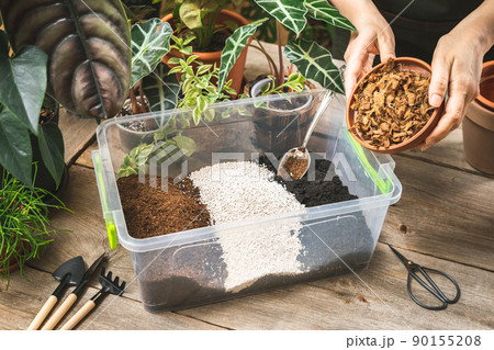 Adding Coco husk chips to the aroid soil mix Adding Coco husk chips to the aroid soil mix 90155208