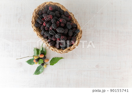 スーパーフード 採れたて 新鮮なマルベリー（桑の実） 90155741