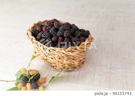 スーパーフード 採れたて 新鮮なマルベリー(桑の実) スーパーフード 採れたて 新鮮なマルベリー(桑の実) 90155742