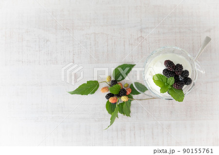 マルベリー(桑の実) マルベリー(桑の実) 90155761