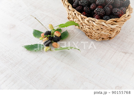 マルベリー（桑の実） 90155768