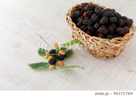 マルベリー（桑の実） 90155769