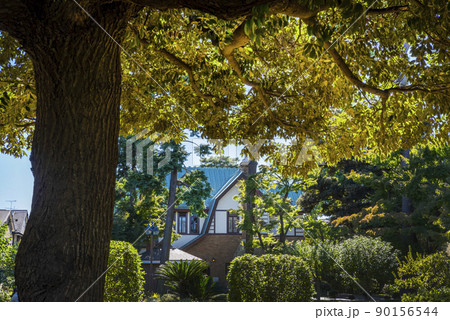 三鷹市「山本有三記念館」の建物 三鷹市「山本有三記念館」の建物 90156544