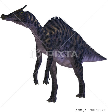 サウロロフス☆Saurolophus サウロロフス☆Saurolophus 90156877