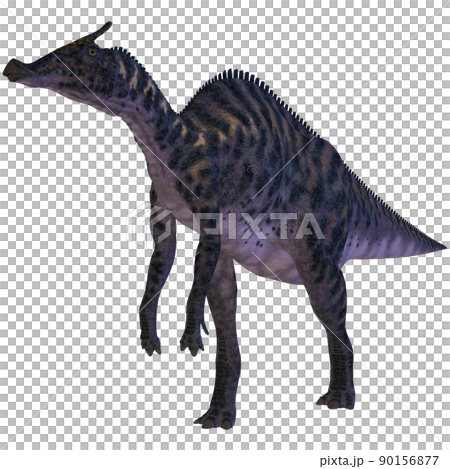 Saurolophus ☆ Saurolophus 90156877