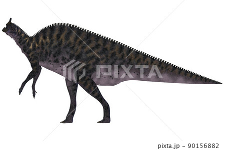 サウロロフス☆Saurolophus サウロロフス☆Saurolophus 90156882