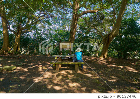 神奈川県大磯町の高麗山(こまやま)山頂標識 90157446