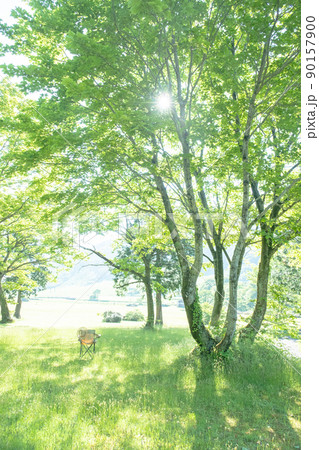 新緑の公園 木陰と椅子(大山鏡ヶ成) 新緑の公園 木陰と椅子(大山鏡ヶ成) 90157900