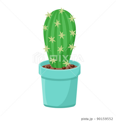 Cactus in flower pot isolated vector illustration 90159552