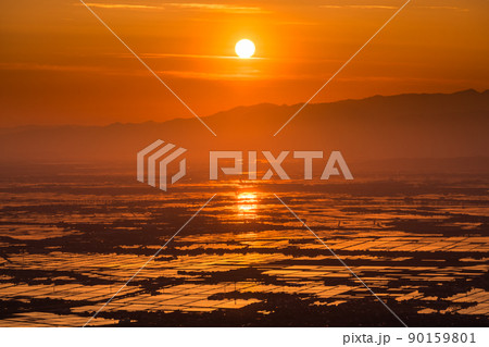 《新潟県》越後平野の夜明け・水鏡の田園風景 90159801