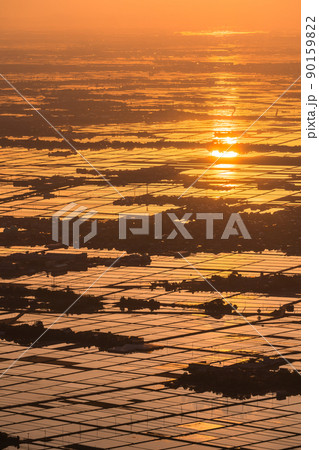 《新潟県》越後平野の夜明け・水鏡の田園風景 90159822