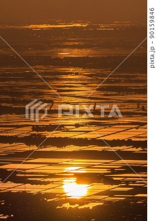 《新潟県》越後平野の夜明け・水鏡の田園風景 《新潟県》越後平野の夜明け・水鏡の田園風景 90159846