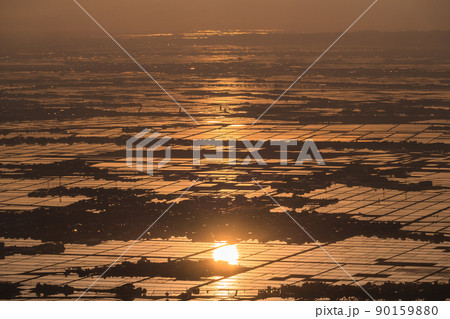 《新潟県》越後平野の夜明け・水鏡の田園風景 90159880