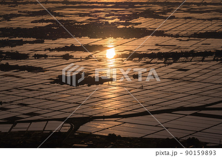 《新潟県》越後平野の夜明け・水鏡の田園風景 90159893