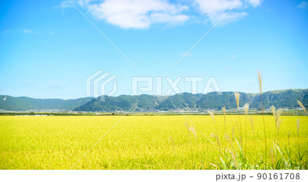 阿蘇の田園風景(秋晴れ・稲刈り・阿蘇のお米)(秋)日本・九州・熊本県阿蘇市 阿蘇の田園風景(秋晴れ・稲刈り・阿蘇のお米)(秋)日本・九州・熊本県阿蘇市 90161708
