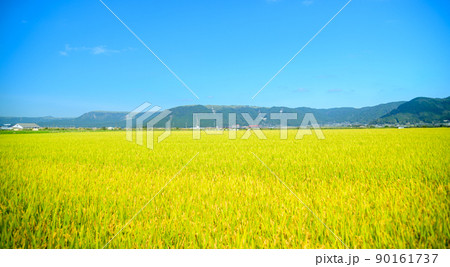阿蘇の田園風景(秋晴れ・稲刈り・阿蘇のお米)(秋)日本・九州・熊本県阿蘇市 阿蘇の田園風景(秋晴れ・稲刈り・阿蘇のお米)(秋)日本・九州・熊本県阿蘇市 90161737