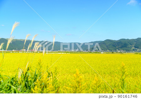阿蘇の田園風景(秋晴れ・稲刈り・阿蘇のお米)(秋)日本・九州・熊本県阿蘇市 阿蘇の田園風景(秋晴れ・稲刈り・阿蘇のお米)(秋)日本・九州・熊本県阿蘇市 90161746