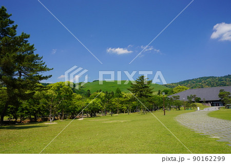 五月・爽やかな奈良公園・浮雲園地から奈良国際フォーラム 90162299