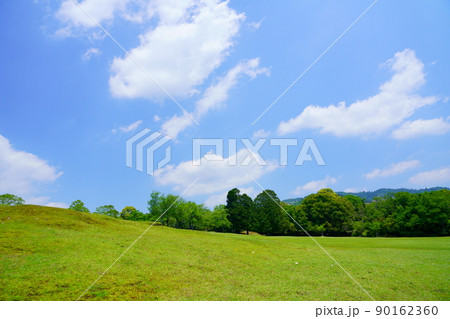 五月・奈良公園・飛火野の緑 五月・奈良公園・飛火野の緑 90162360
