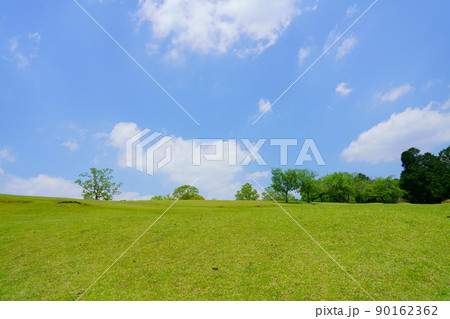 五月・奈良公園・飛火野の緑 五月・奈良公園・飛火野の緑 90162362