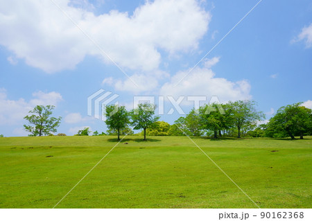 五月・奈良公園・飛火野の緑 五月・奈良公園・飛火野の緑 90162368