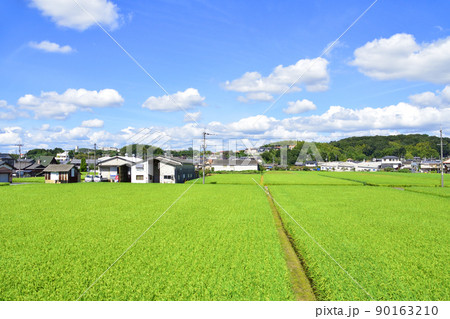 2021年。児島駅から岡山駅までの瀬戸大橋線の風景 90163210