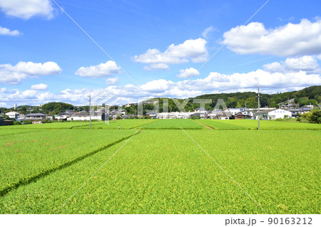 2021年。児島駅から岡山駅までの瀬戸大橋線の風景 90163212