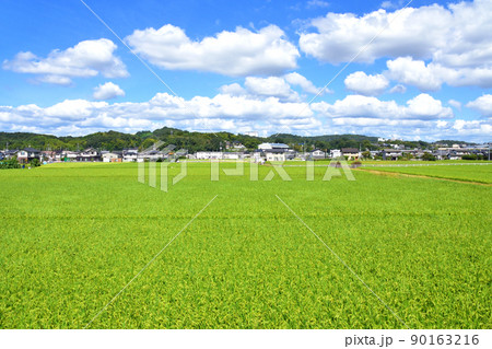 瀬戸大橋線の児島駅から岡山駅までの車窓風景(2021年夏) 90163216