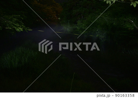 【夏イメージ】ホタルの乱舞 90163358