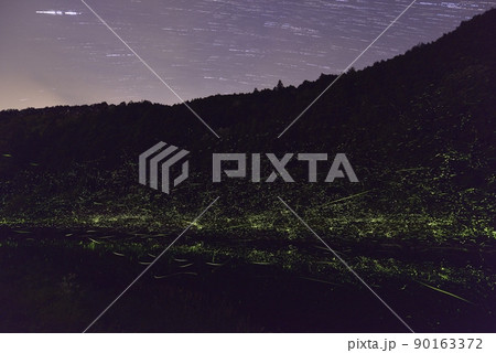 【夏イメージ】ホタルの乱舞 90163372