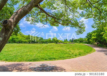 新緑の平和公園〈愛知県名古屋市〉 90163380