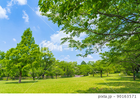 新緑の平和公園〈愛知県名古屋市〉 90163571