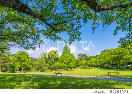 新緑の平和公園〈愛知県名古屋市〉 90163573