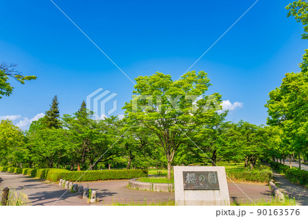 新緑の平和公園〈愛知県名古屋市〉 90163576