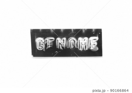 Black color banner that have embossed letter with word genome on white paper background Black color banner that have embossed letter with word genome on white paper background 90166864
