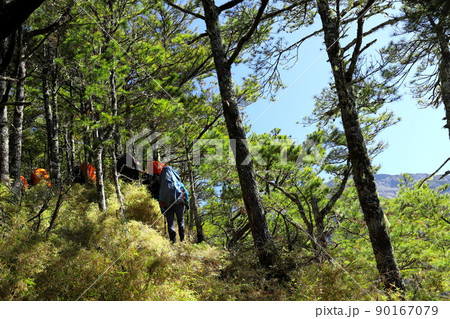 登山 山登り アルプ 90167079