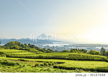 静岡県静岡市の日本平から新緑のお茶畑と富士山 90167688