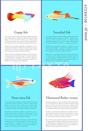 Colorful Guppy and Swordtail Fishes Vector Posters 90168324