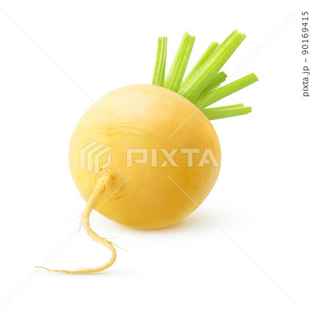 Isolated yellow turnip 90169415