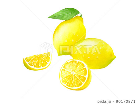 水滴がついたレモン 水彩イラストのイラスト素材