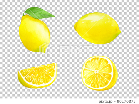 Lemon set vector drawn in transparent watercolor 90170873