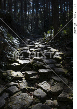 熊野古道の石畳 熊野古道の石畳 90170953