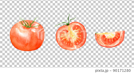 透明水彩で描いたトマトのセット　ベクター 90171280