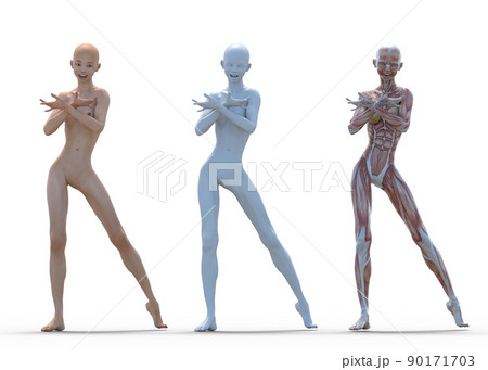 筋肉標本　女性　perming3DCGイラスト素材 90171703